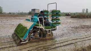 Deep placement fertilizer applicator with Mech transplanting [upl. by Ninaj749]