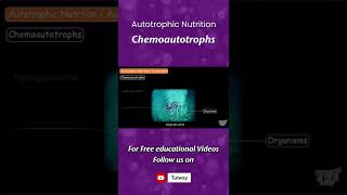 Chemoautotrophs  Autotrophs  Autotrophic Nutrition  Plants  Autotrophs  Science shorts [upl. by Koppel]