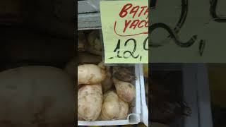 Batata Yacon preço varejo RJ abril 2024 [upl. by Eendys]