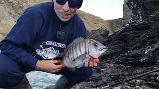 comment pêcher facilement des poissons en mer du bord [upl. by Soracco]