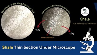 Shale Thin Section under Microscope with optical Properties of Rocks [upl. by Sicnarf565]