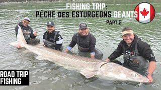 PÊCHE DES ESTURGEONS GÉANTS 🇨🇦 PART 2 [upl. by Navek312]