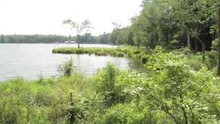 Forestburg Scout Reservation Summer Camp Promotion Video [upl. by Anaele253]