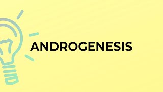 What is the meaning of the word ANDROGENESIS [upl. by Noicnecsa]