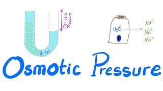 Osmotic Pressure  Osmosis  Colligative property  Physiology Series [upl. by Schaffer]