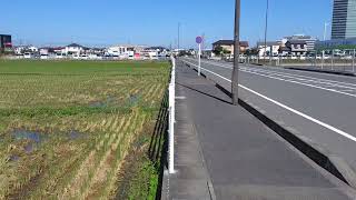 海老名駅を少し歩いたところにまもなく開通しそうな道路の近くにサギがいました [upl. by Yelruc]