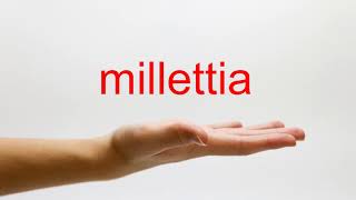 How to Pronounce millettia  American English [upl. by Nnayllek]