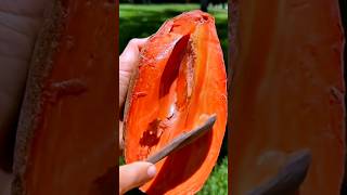 Satisfying Mamey Sapote Fruit mameysapote shorts [upl. by Ebneter936]