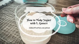 Podcast Episode 226 How to Make Yogurt with L Gasseri [upl. by Arim]