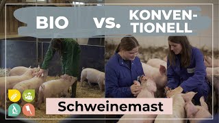 Bio vs Konventionell Pt 2  Unterschiede in der Schweinemast [upl. by Entruoc]