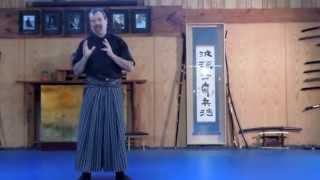 Samurai Bugei explanation of strategy James Williams sensei Nami ryu [upl. by Nataniel]