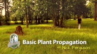 Plant Propagation Course Intro [upl. by Leifer]