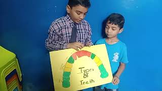 What are The Different Types of Teeth  Teeth Grade 4 presentation [upl. by Hussey]