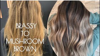 FOILAYAGE amp COLOR MELT  Brassy Hair To MUSHROOM BROWN Tutorial [upl. by Yleak]