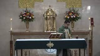 Tuesday St John Paul II Pope Mass with Fr Angelo Battista MSC 10222024 [upl. by Ahterahs451]