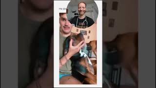 A Veterinarian Reacts to quotFunnyquot Dog Videos [upl. by Heyde694]