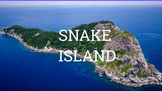 The deadliest place on earth SNAKE ISLAND Ilha da queimada grande BRIGHT SCIENCE [upl. by Bolt446]