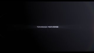 Tovarasii Perverse  by sosori official music [upl. by Annalla]