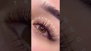 Lash extensions tricks tips lashes lashextensions lashartist map [upl. by Atneciv]