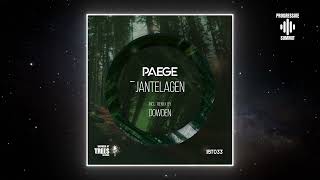 Paege  Jantelagen Dowden Remix Inspired By Trees Records [upl. by Behah]