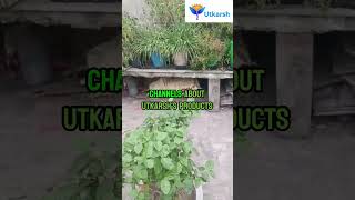 Best Fertilizers for Flowers and Terrace Garden  HolisticCF2  utkarshagrochem organicfarming [upl. by Anaicilef]