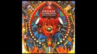 Full Album Praxis  Transmutation [upl. by Norret]