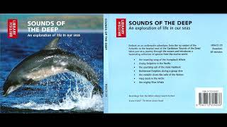 SOUNDS OF THE DEEP  An exploration of life in our seas [upl. by Areemas624]