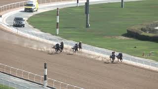 MEYDAN TRIALS 16102024 TRIAL 6 [upl. by Kciredor]