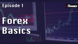 Forex Trading for Beginners  Learn to Trade Forex with cTrader  Episode 1 [upl. by Eceirehs]