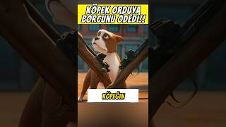 KÖPEK ORDUYA BORCUNU ÖDEDİ 🐶🪖 [upl. by Crofoot753]