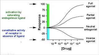 AF SOMALI PHARMACOLOGY AGONIST VS ANTAGONIST [upl. by Aihpled]