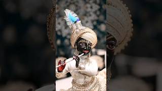 Baware Naina radhakrishna radheradhe bhaktibhajan [upl. by Iak]