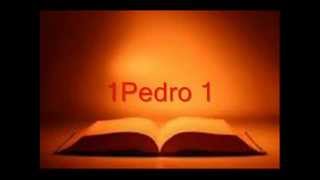 BIBLIA HABLADA 1PEDRO completo RV 1960 [upl. by Katinka]