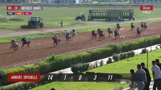 Live Hippodrome « MEKNES »  Courses du « 16112023 » [upl. by Jallier83]