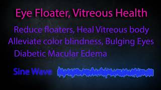 Eye Floaters Vitreous Health [upl. by Lomaj]