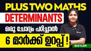 Plus Two Maths  Determinants  ഒരു ചോദ്യം പഠിച്ചാൽ 6 മാർക്ക് ഉറപ്പ്  Xylem Plus Two [upl. by Minne]