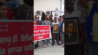 punjab sarkar app top viralvideo news channel daily [upl. by Romeu]