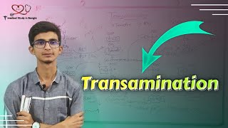 Transamination in bangla Amino acid catabolism [upl. by Higinbotham]