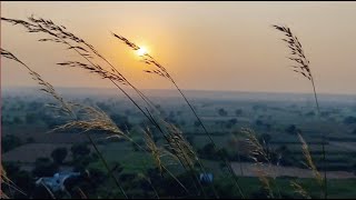 Michelle Qureshi  Luminous Fields Official Video [upl. by Anahsahs]