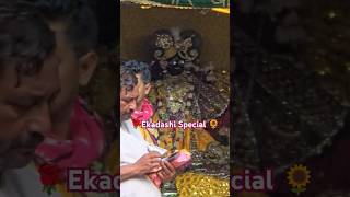 🌻 एकादशी Special Banke Bihari HarikDasbankebihariviralvideovrindavanaartibarsana [upl. by Ylla]