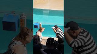 O mímico Tom imitando esta senhora 😂🤣 tomthemime seaworldmime seaworldorlando funny [upl. by Jeffries]