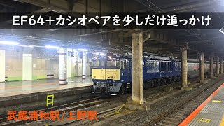 EF64カシオペアを少しだけ追っかけ（武蔵浦和駅上野駅）20241019 [upl. by Johnette]