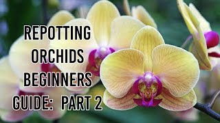 How To Repot An Orchid   Orchids Repotting For Beginners  Whimsy Crafter [upl. by Poliard]