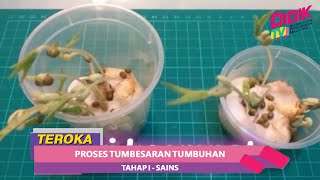 Teroka 2021  Tahap I Sains  Proses Tumbesaran Tumbuhan [upl. by Mokas]