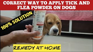 How To Apply Anti Tick And Flea Powder On Dogs  Correct Way To Use  Get Rid of Fleas From Dogs [upl. by Boffa]