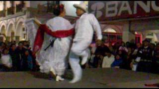 Fiesta Jarocha del Paseo del Malecon  La Bamba [upl. by Ennael]