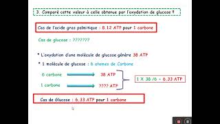 TD sur le catabolisme des acides gras [upl. by Rovelli]