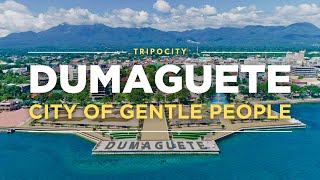 Dumaguete Casaroro Falls Apo Island and More Things to do in Dumaguete Philippines [upl. by Ilegna]