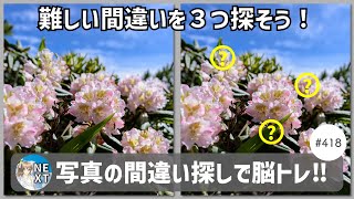 『間違い探し』写真で脳トレ！ 418 「シャクナゲの花」「ワタスゲ」「しだれ梅」【高難易度】｜Find the difference game in photos [upl. by Mei34]