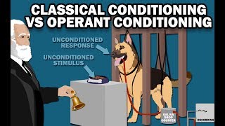 CLASSICAL VS OPERANT CONDITIONING [upl. by Sibylle]